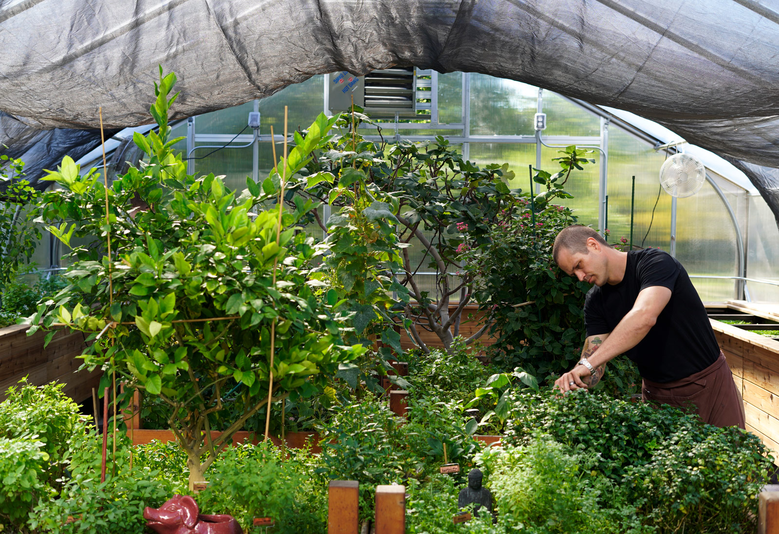 paramount events greenhouse devon quinn