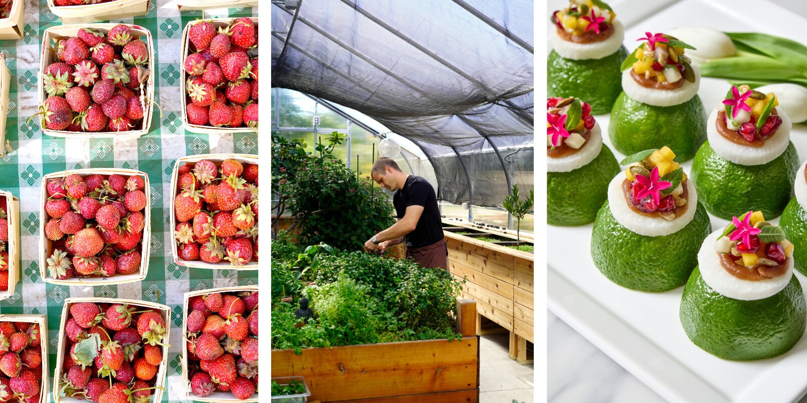 a Sustainable Caterer in Chicago