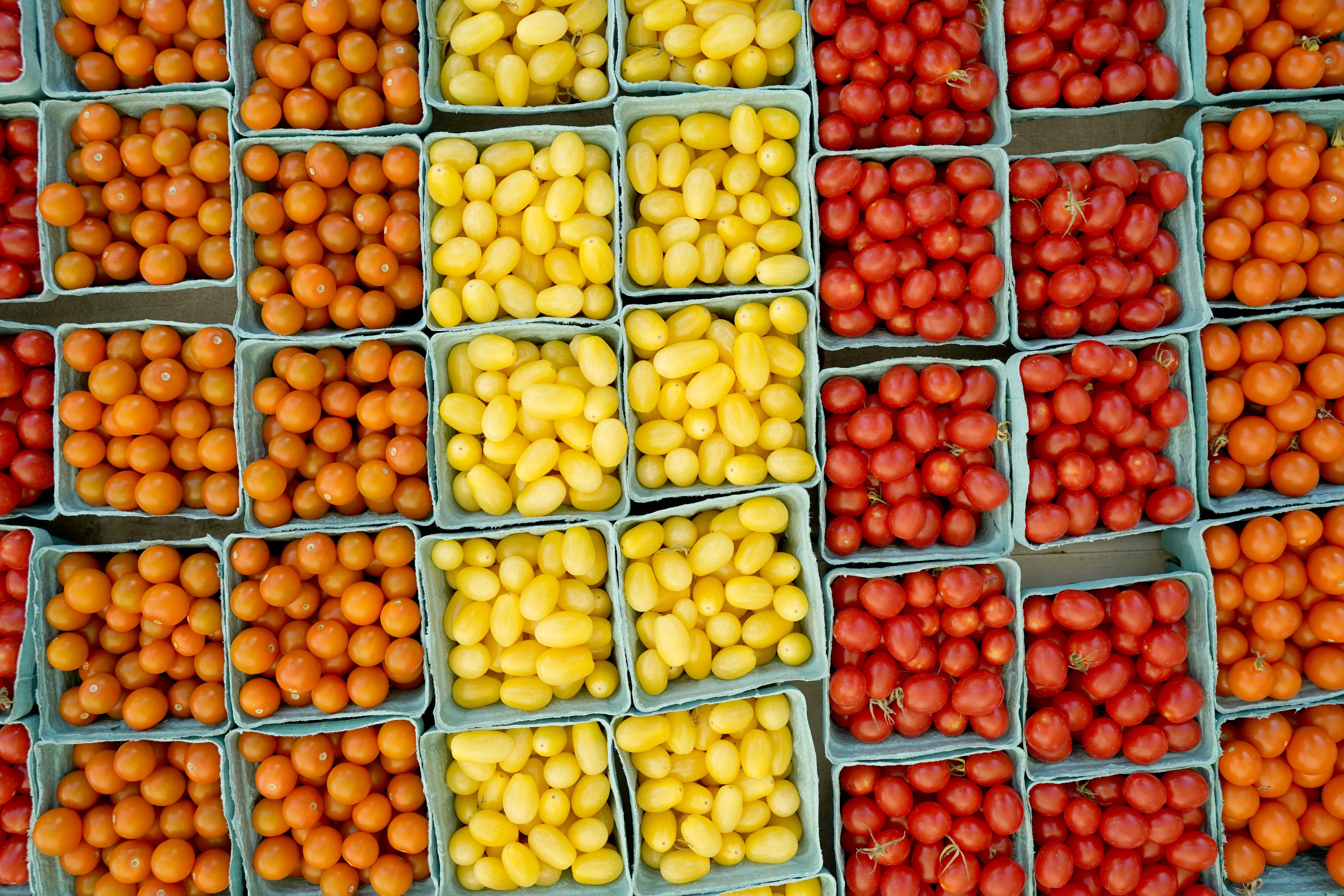 Overhead view of baskets filled with red, yellow, and orange cherry tomatoes arranged at a local farm market. Fresh seasonal produce sourced from regional growers supports Paramount Events' farm-to-table catering approach.